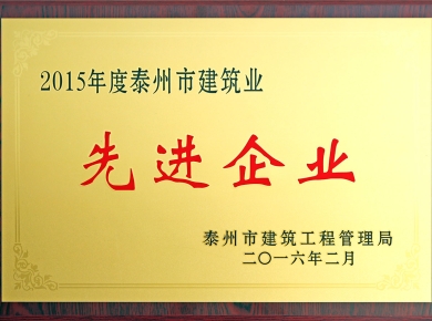 2015年度泰州市建筑業先進企業